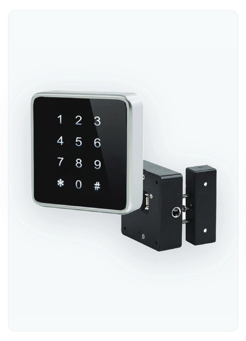 Sistema Boxis Panel con panel exterior RFID y cuerpo de cerradura cuadrado